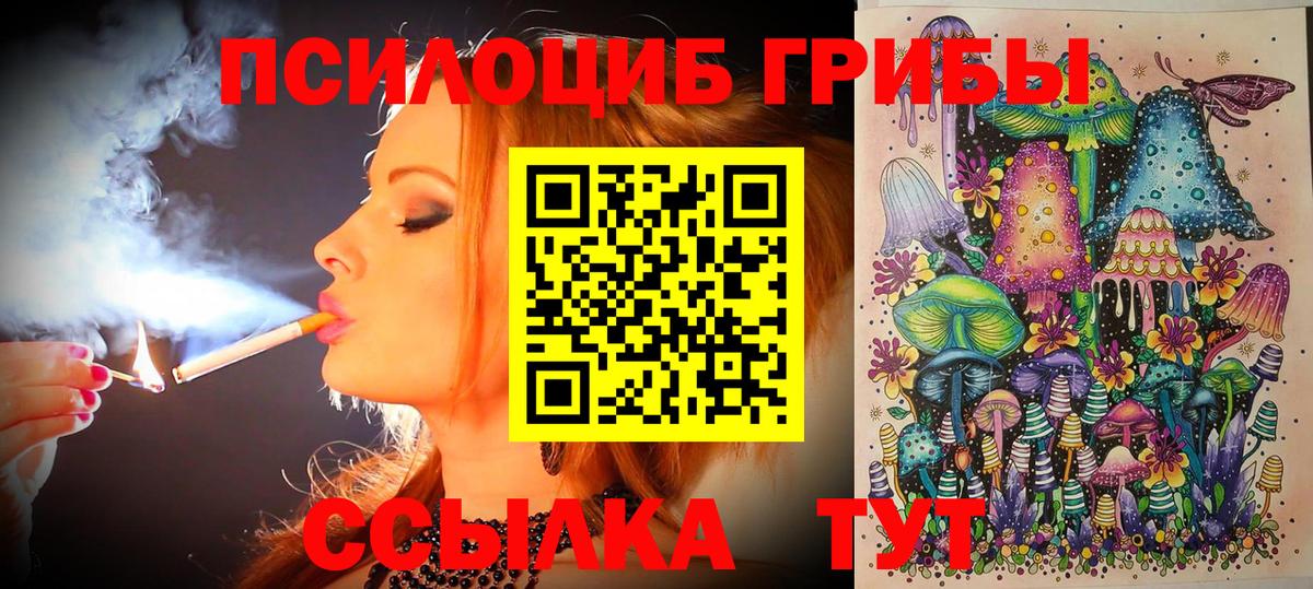 цена   Галлюциногенные грибы Psilocybine cubensis  Вход с VPN  Саров 